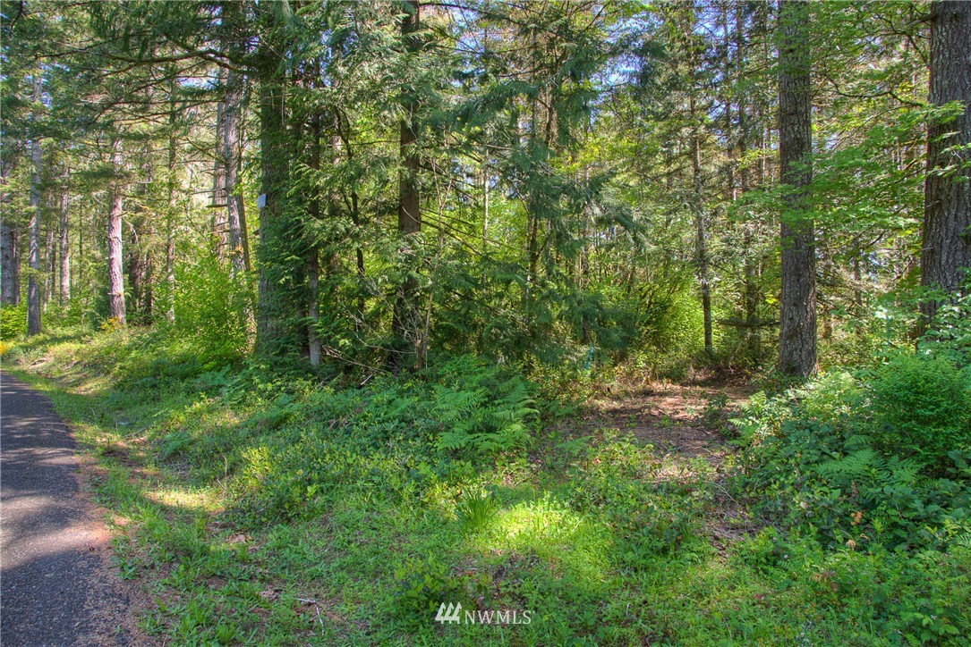 3 West Benthein Road Elma, WA 98541 - Photo 2 of 10 Gallery Image 2