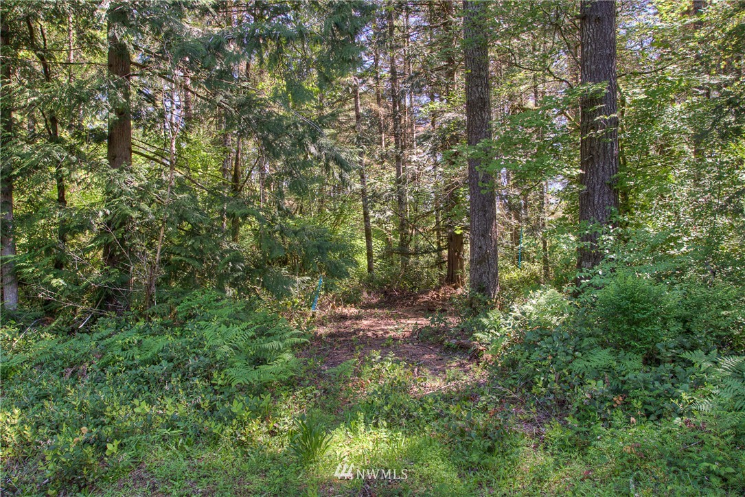3 West Benthein Road Elma, WA 98541 - Photo 3 of 10 Gallery Image 3