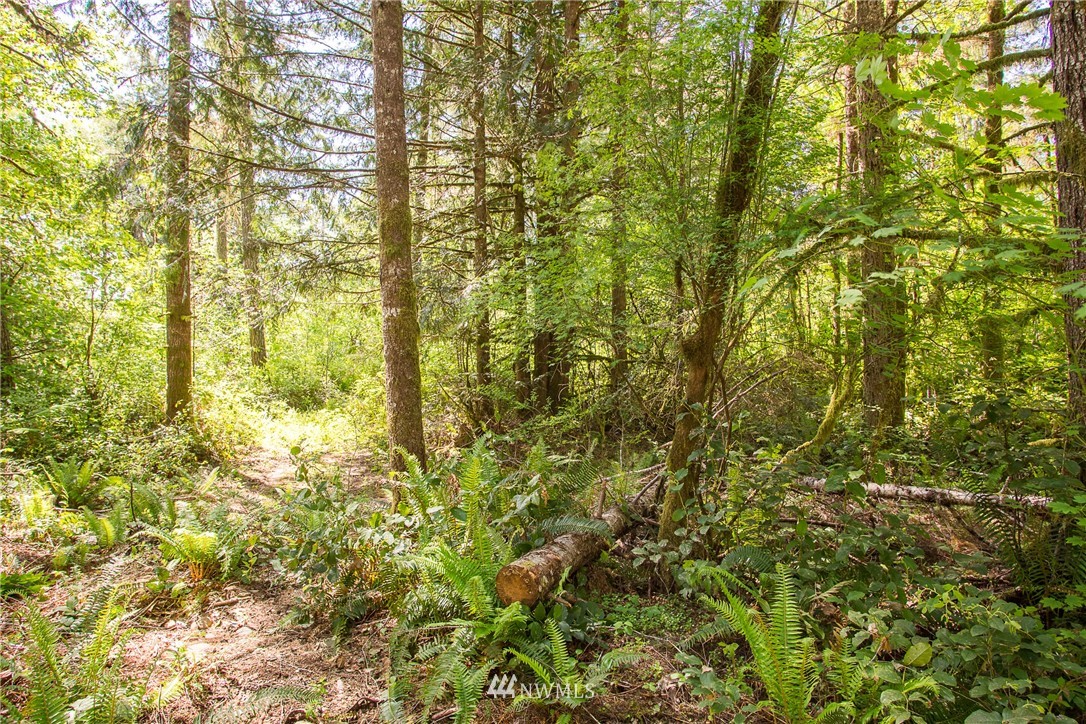 3 West Benthein Road Elma, WA 98541 - Photo 6 of 10 Gallery Image 6