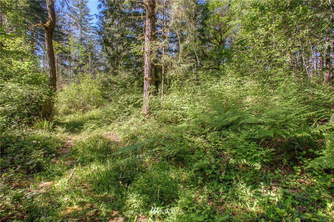 3 West Benthein Road Elma, WA 98541 - Photo 10 of 10 Gallery Image 10