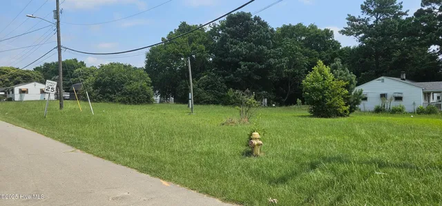 $10,000 | Tbd County Road, Weldon, NC 27890