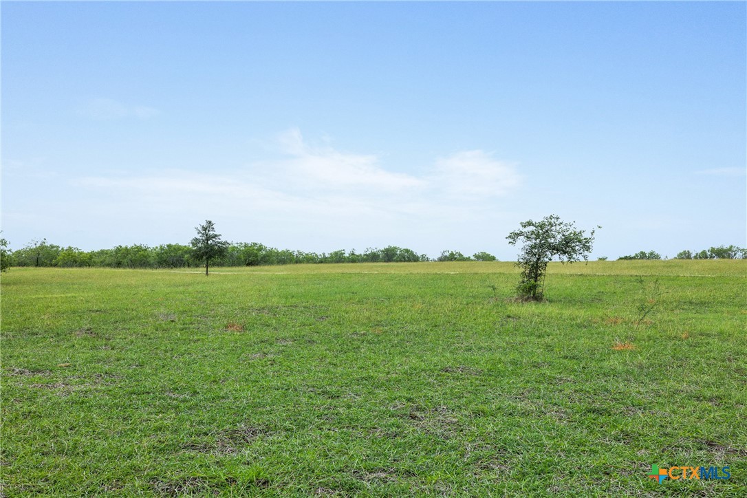 1190 Dickerson Road Lockhart, TX 78644 - Photo 25 of 40