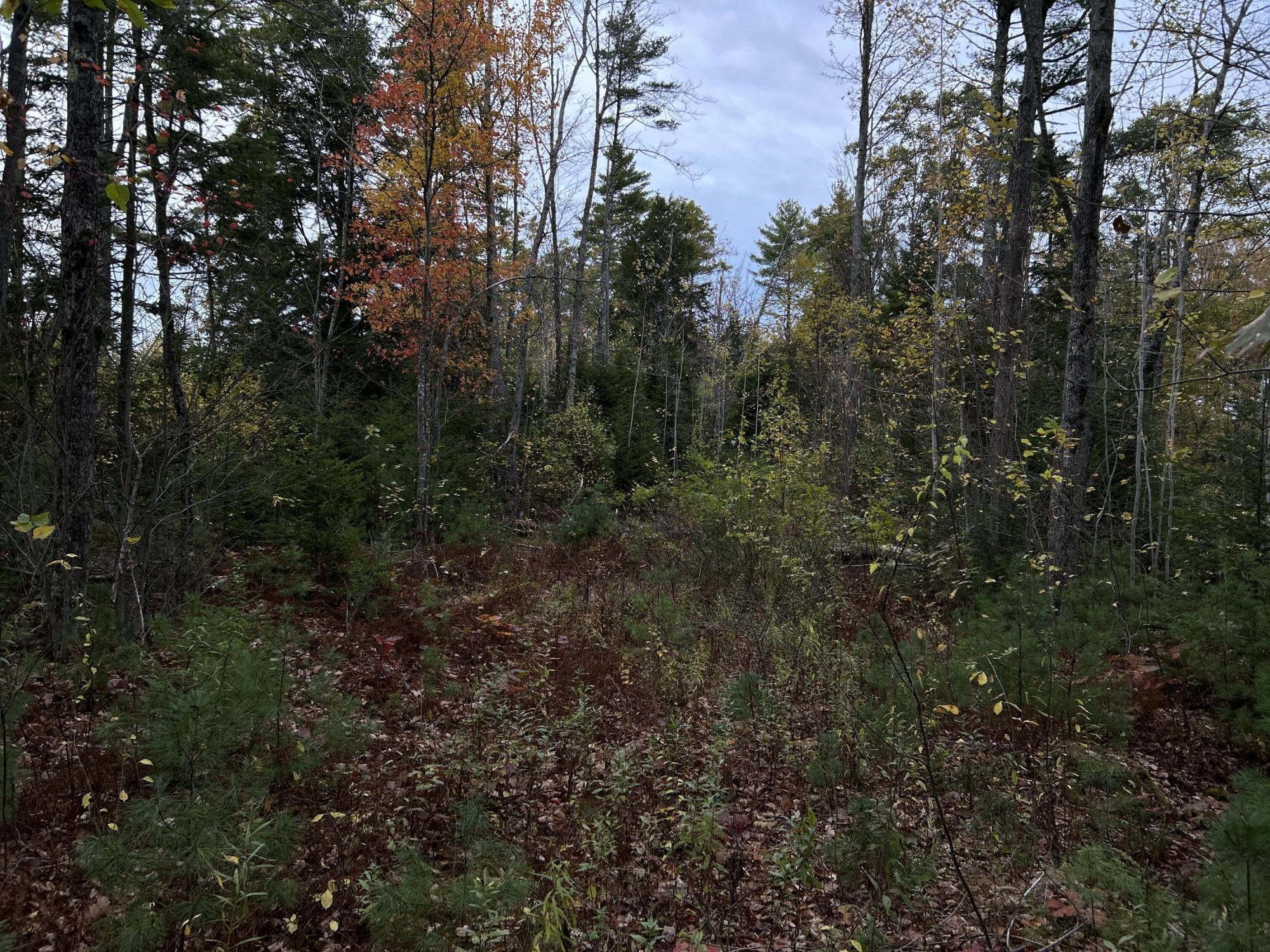 401 Genthner Road Waldoboro, ME 04572 - Photo 4 of 35