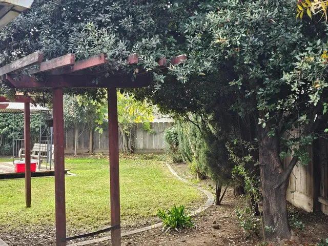 a view of a yard with a tree in a yard