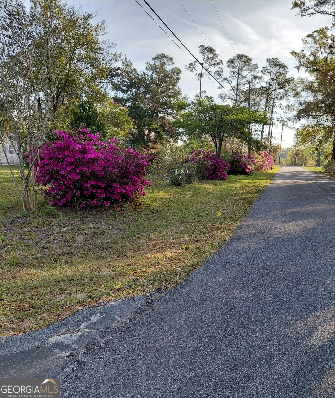 20 Gibson Street Folkston, GA 31537 - Photo 5 of 10 a front view of a house with garden