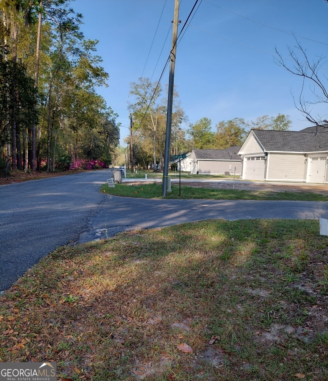 20 Gibson Street Folkston, GA 31537 - Photo 7 of 10 a view of yard with house and green space