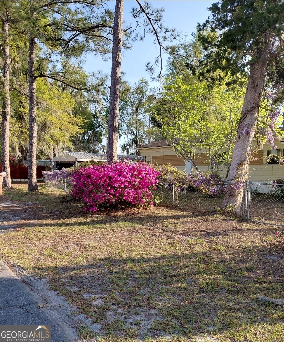20 Gibson Street Folkston, GA 31537 - Photo 10 of 10 a street view with tall trees
