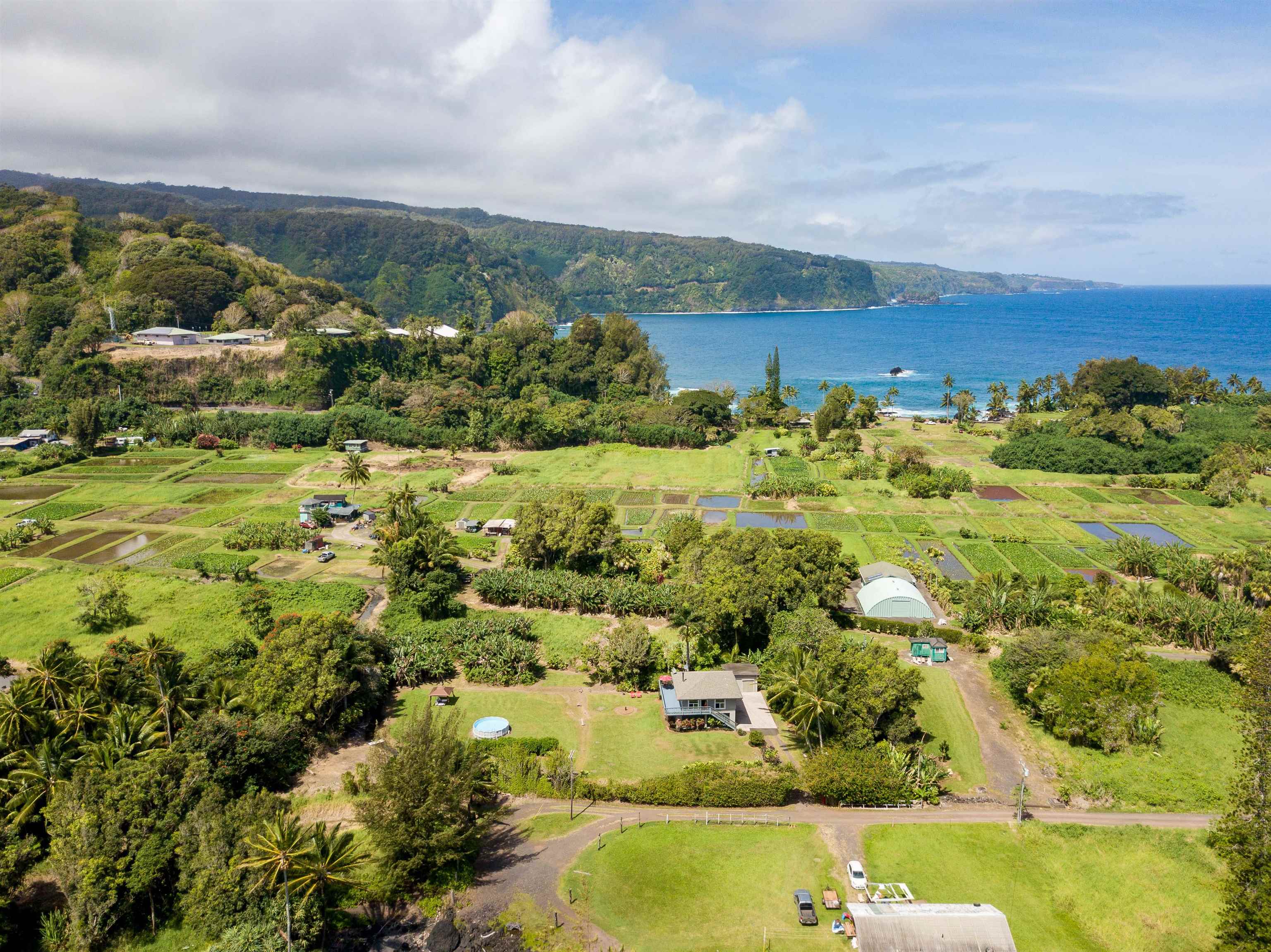 900 Keanae Road Hana, HI 96713 - Photo 22 of 30 What an epic setting!