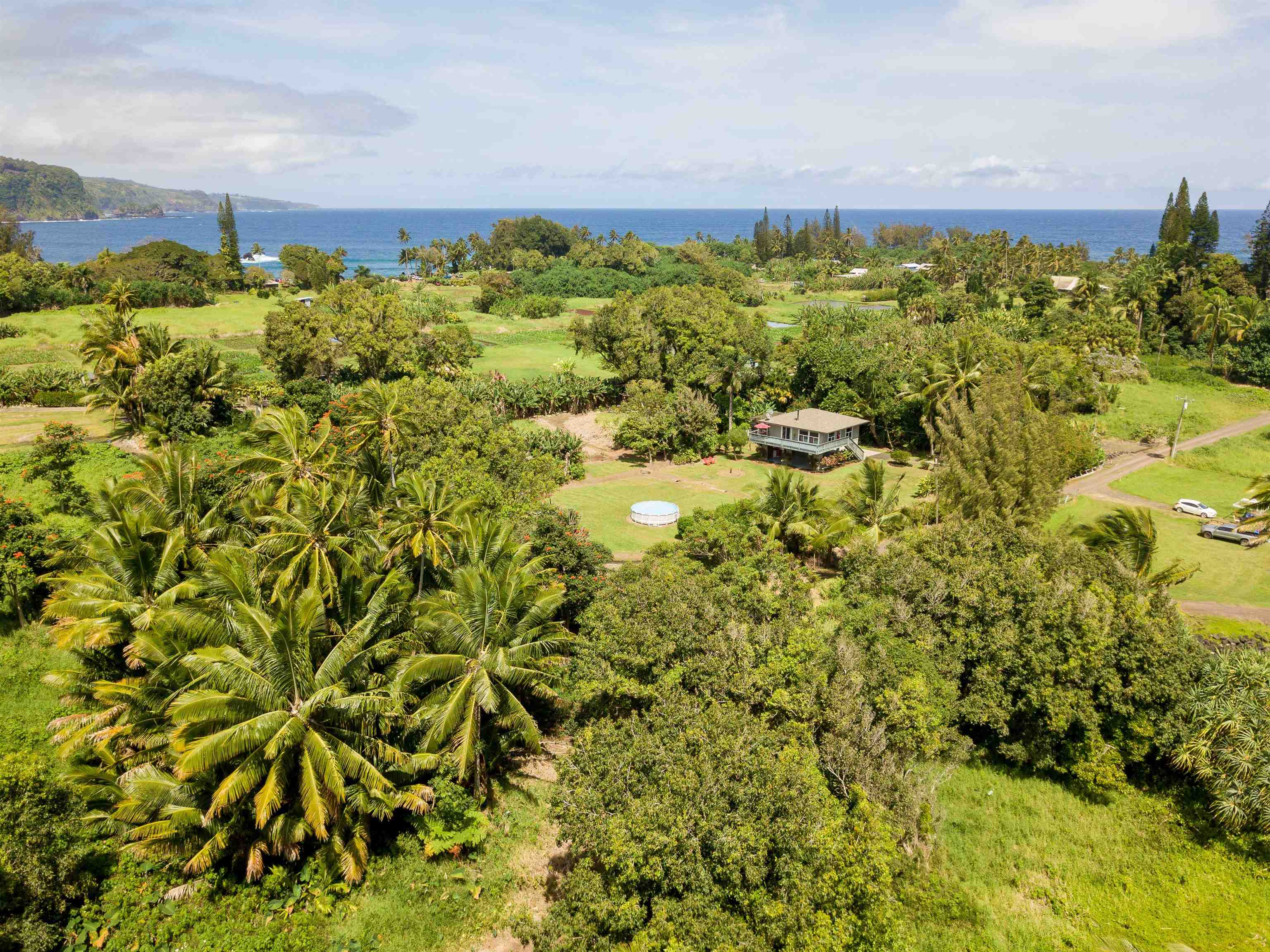 900 Keanae Road Hana, HI 96713 - Photo 23 of 30 Care for some privacy?