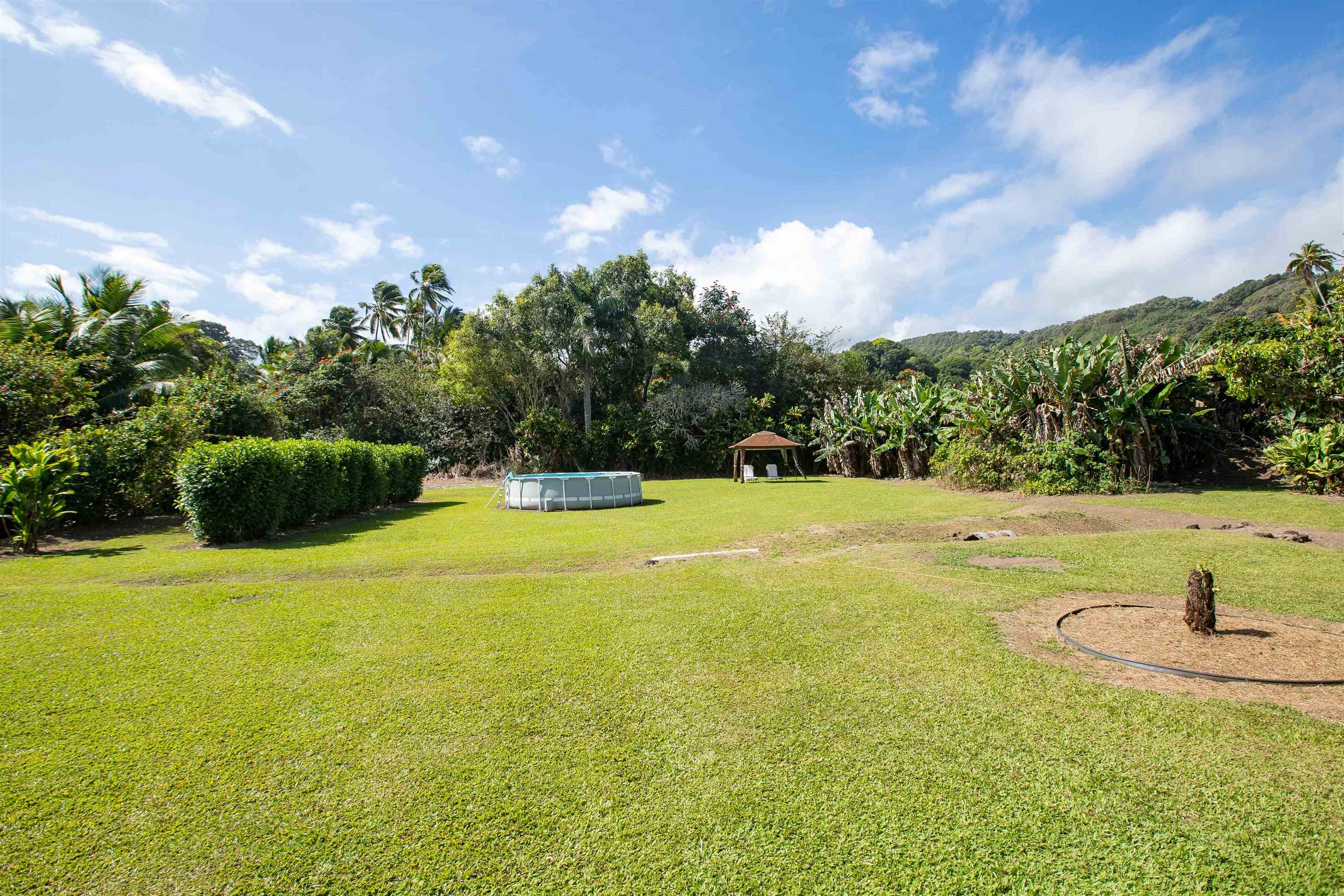 900 Keanae Road Hana, HI 96713 - Photo 26 of 30 Huge playground