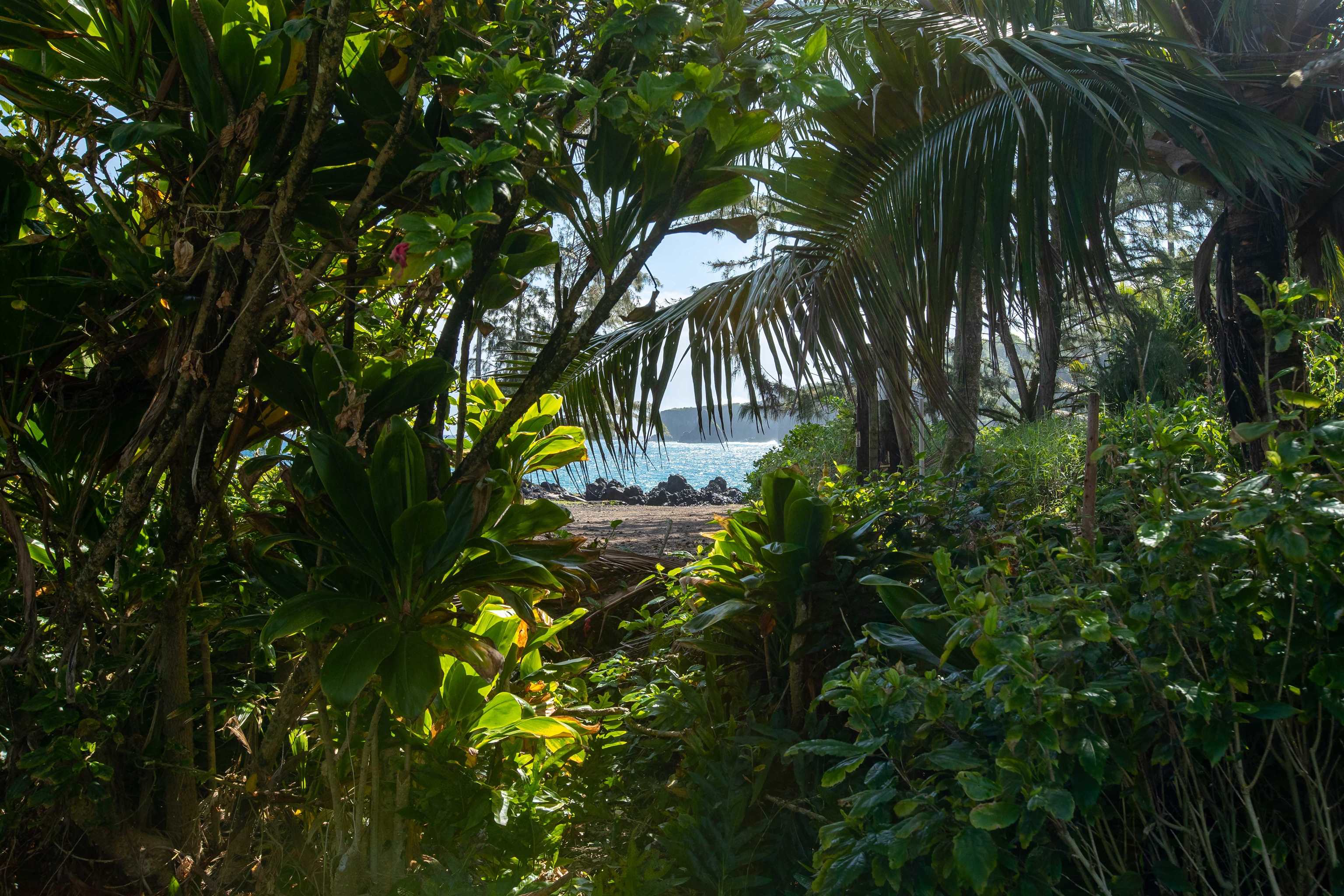 900 Keanae Road Hana, HI 96713 - Photo 29 of 30 Peek-a-boo!