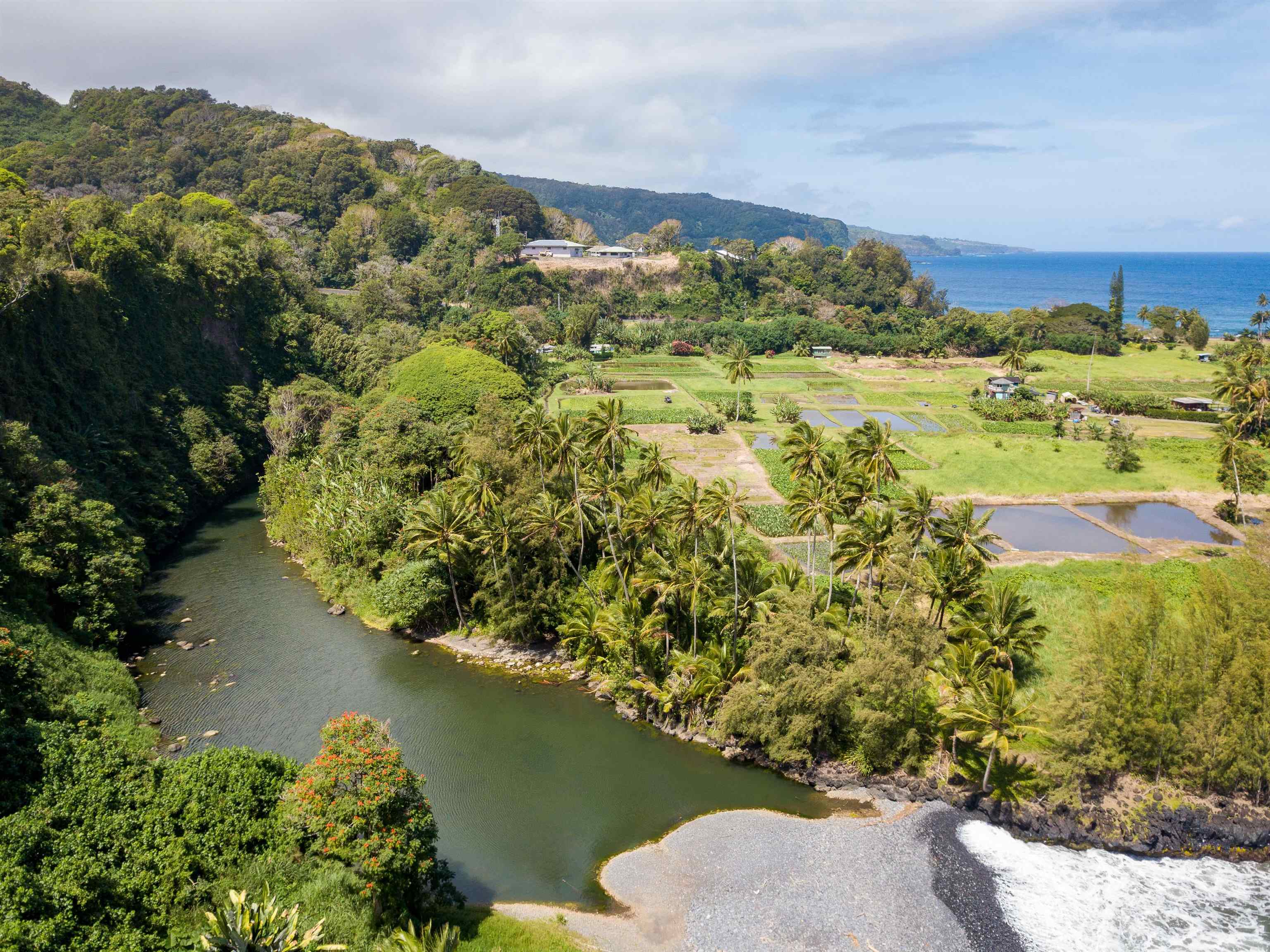 900 Keanae Road Hana, HI 96713 - Photo 30 of 30 Historic and sacred river
