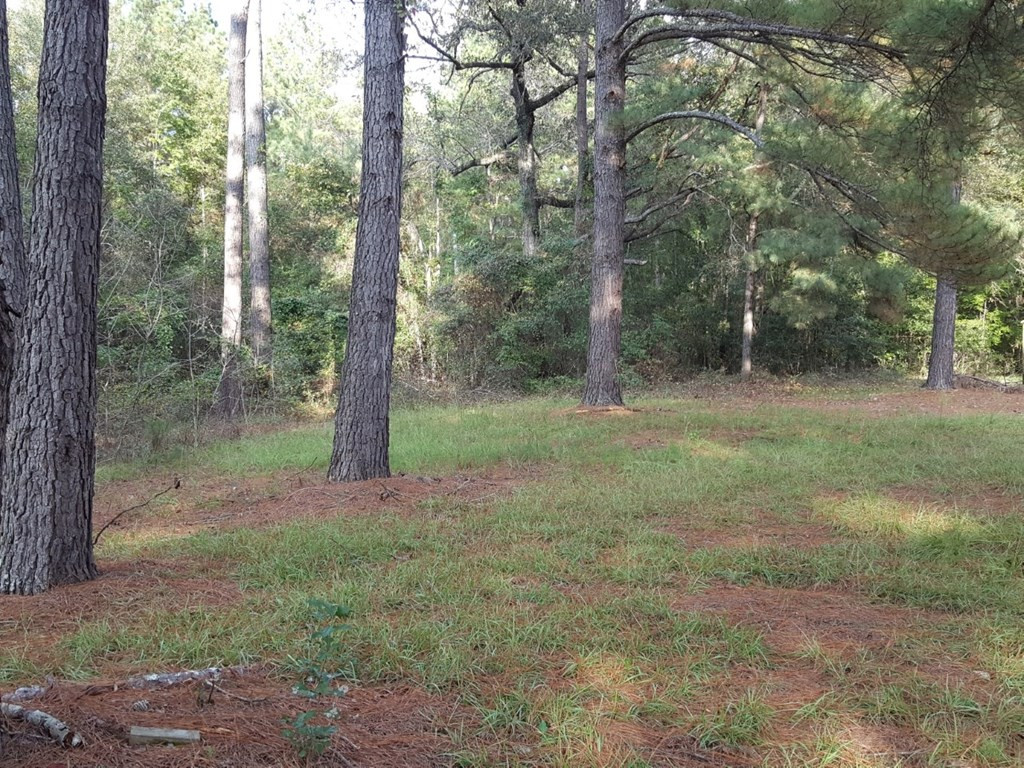 208 Farr Road Cope, SC 29038 - Photo 46 of 48 Gallery Image 46