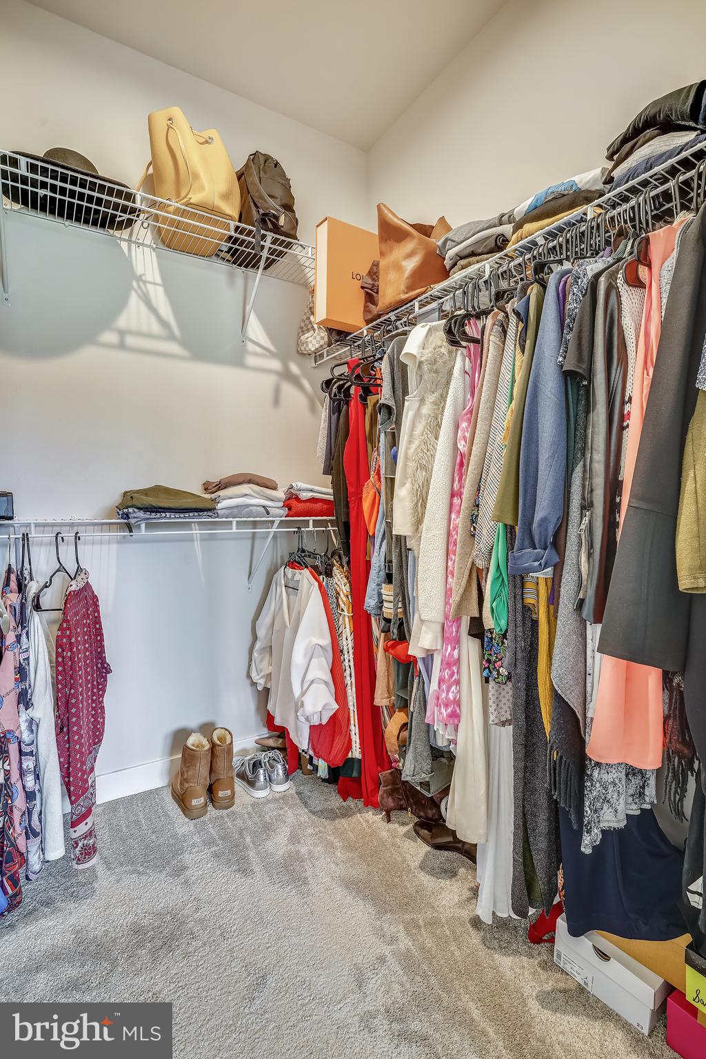 18101 Red Cedar Road Dumfries, VA 22026 - Photo 40 of 49 PRIMARY WI CLOSET