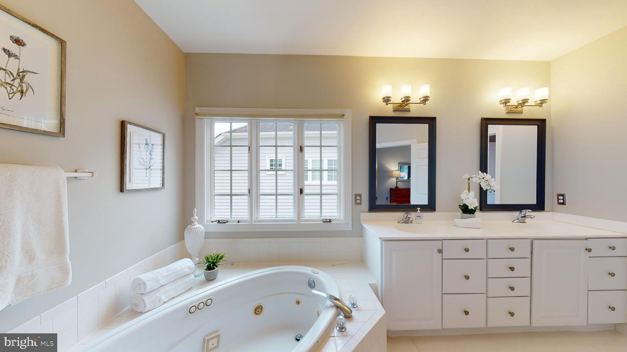 47321 Ox Bow Circle Sterling, VA 20165 - Photo 31 of 85 Whirlpool Tub