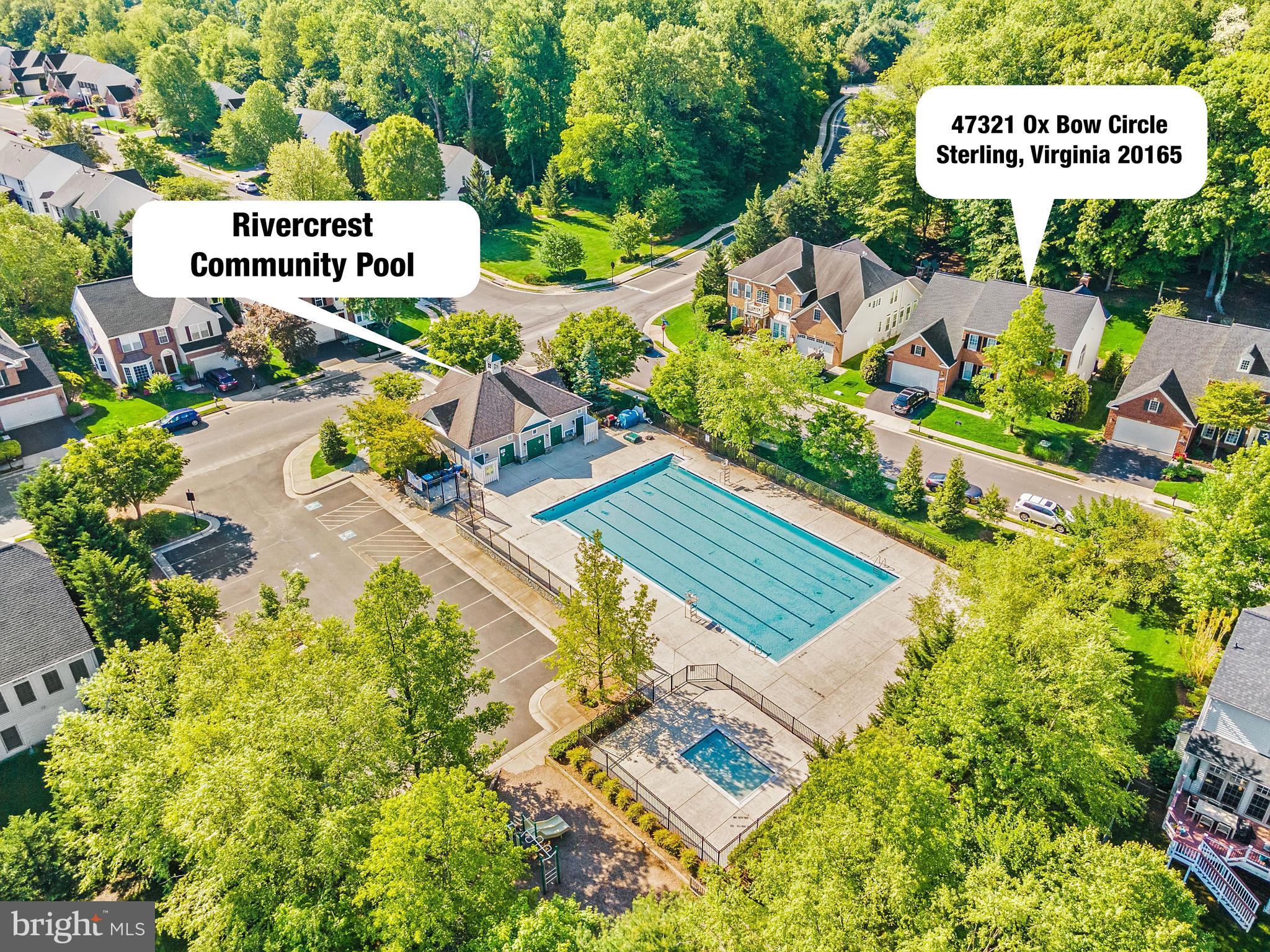 47321 Ox Bow Circle Sterling, VA 20165 - Photo 77 of 85 Community Swimming Pool