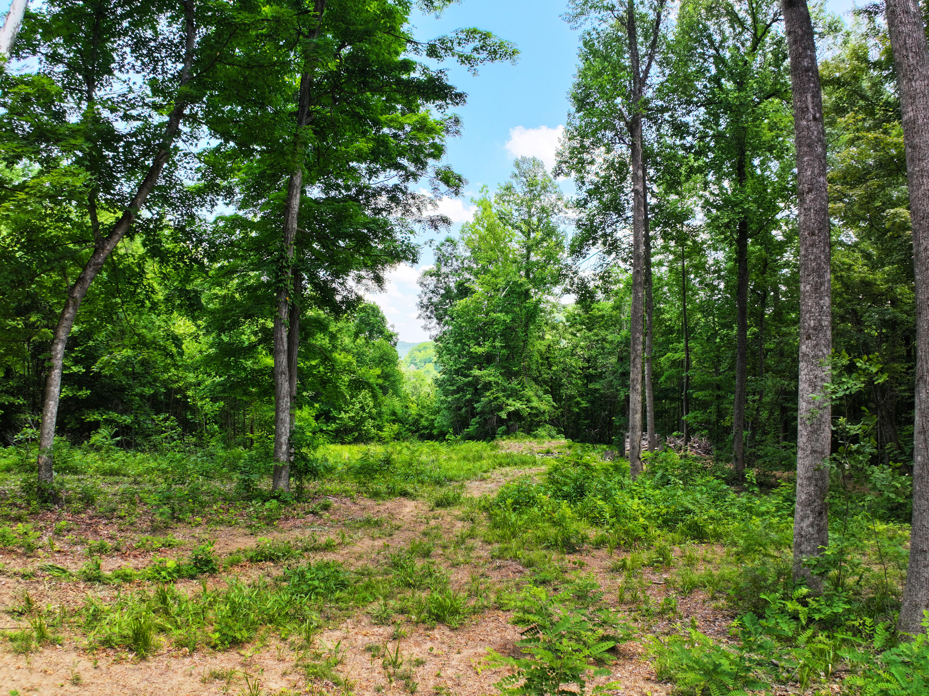 Lot 11 Happy Top Road McKee, KY 40447 - Photo 6 of 12 Your future homestead, with no neighbors in sight.