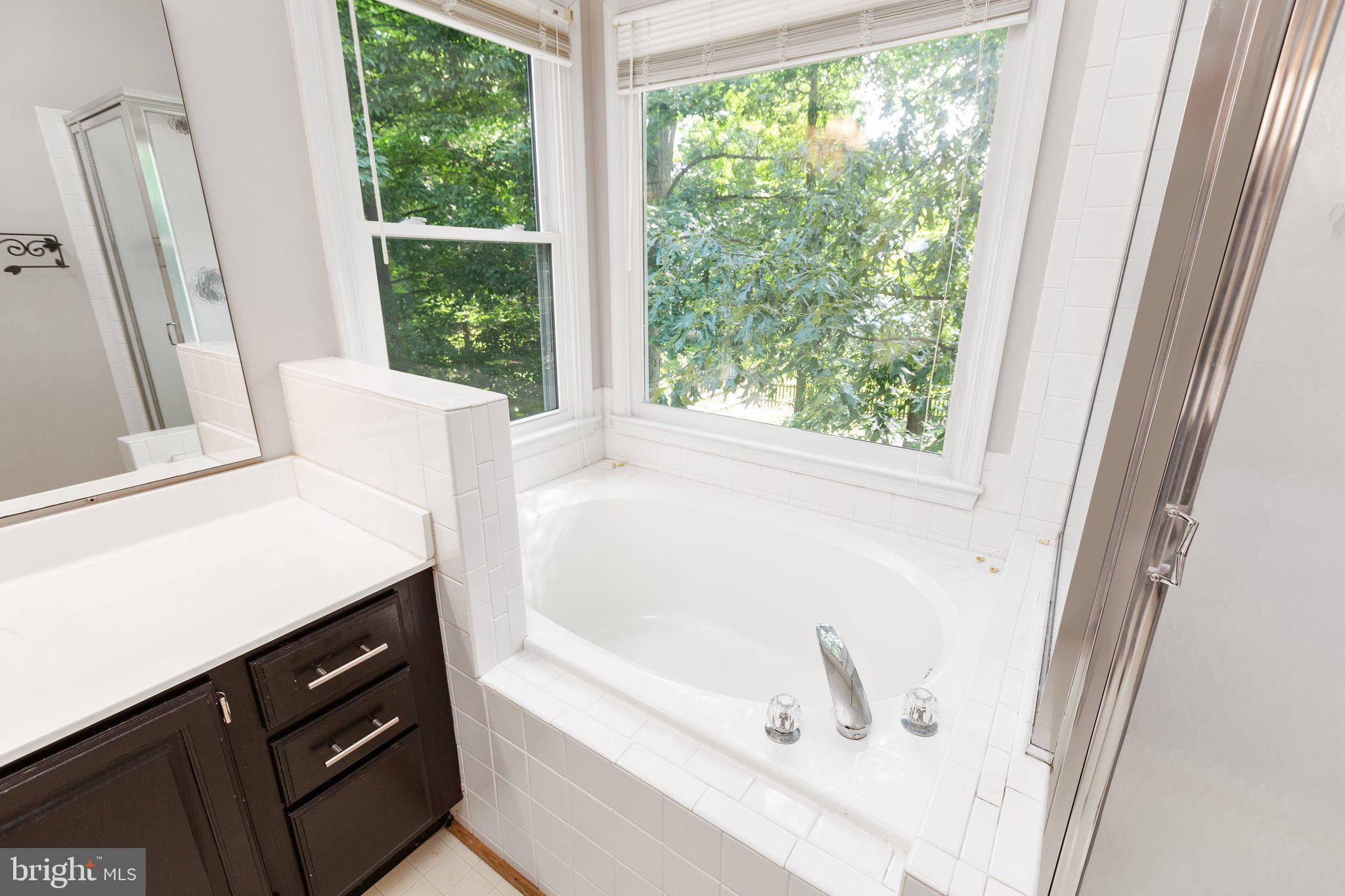 9807 Poplar Forest Road Fredericksburg, VA 22408 - Photo 23 of 53 Great windows above the soaking tub