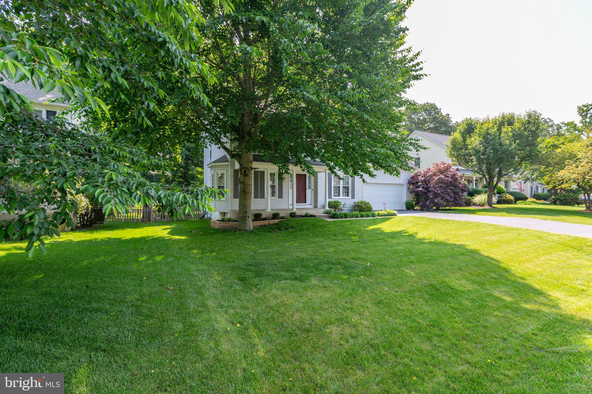 9807 Poplar Forest Road Fredericksburg, VA 22408 - Photo 49 of 53 Large front yard