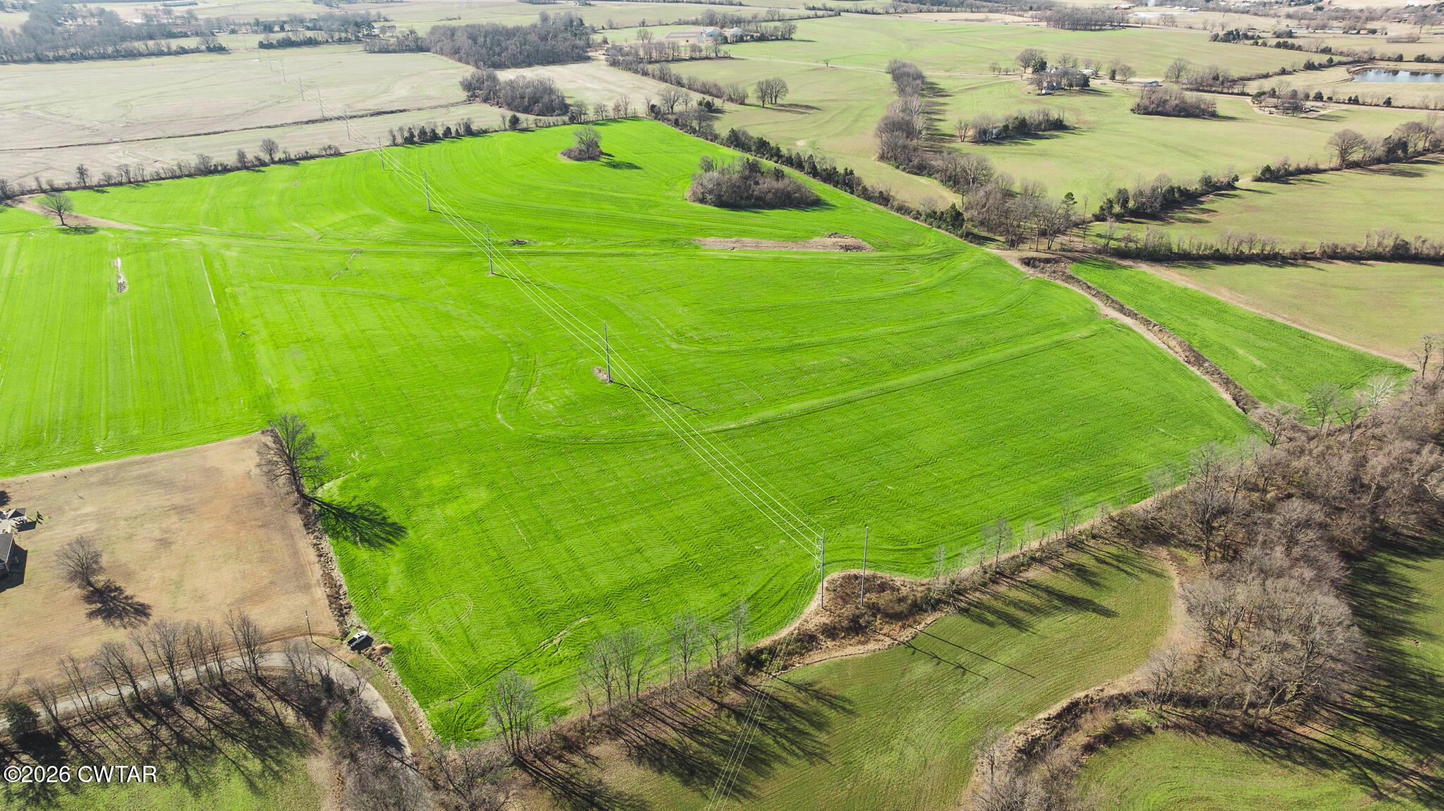 13-15 Bells Cypress Road Bells, TN 38006 - Photo 16 of 27 a green field with trees in the background