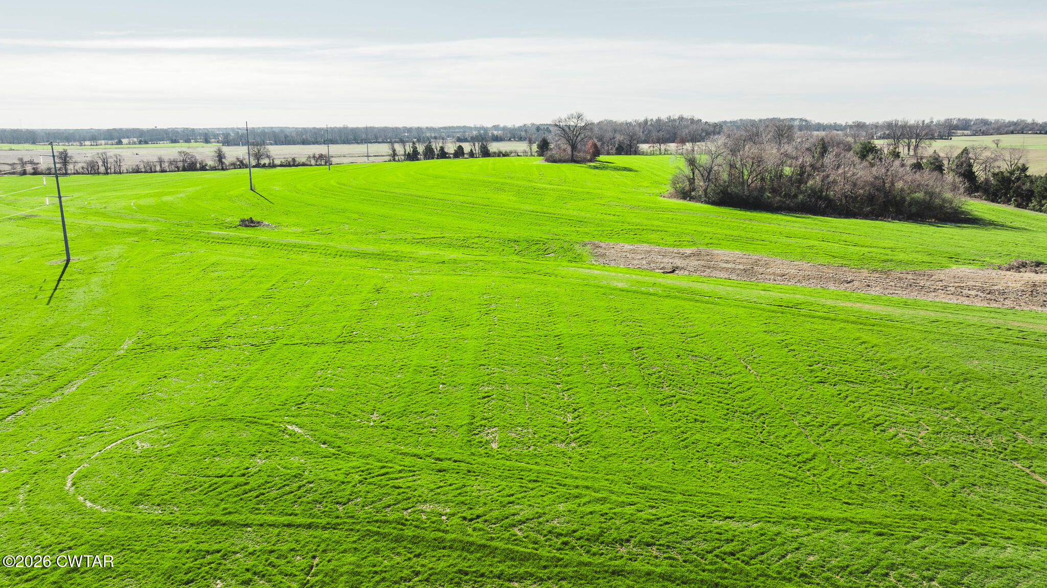 13-15 Bells Cypress Road Bells, TN 38006 - Photo 17 of 27 a view of field with grass