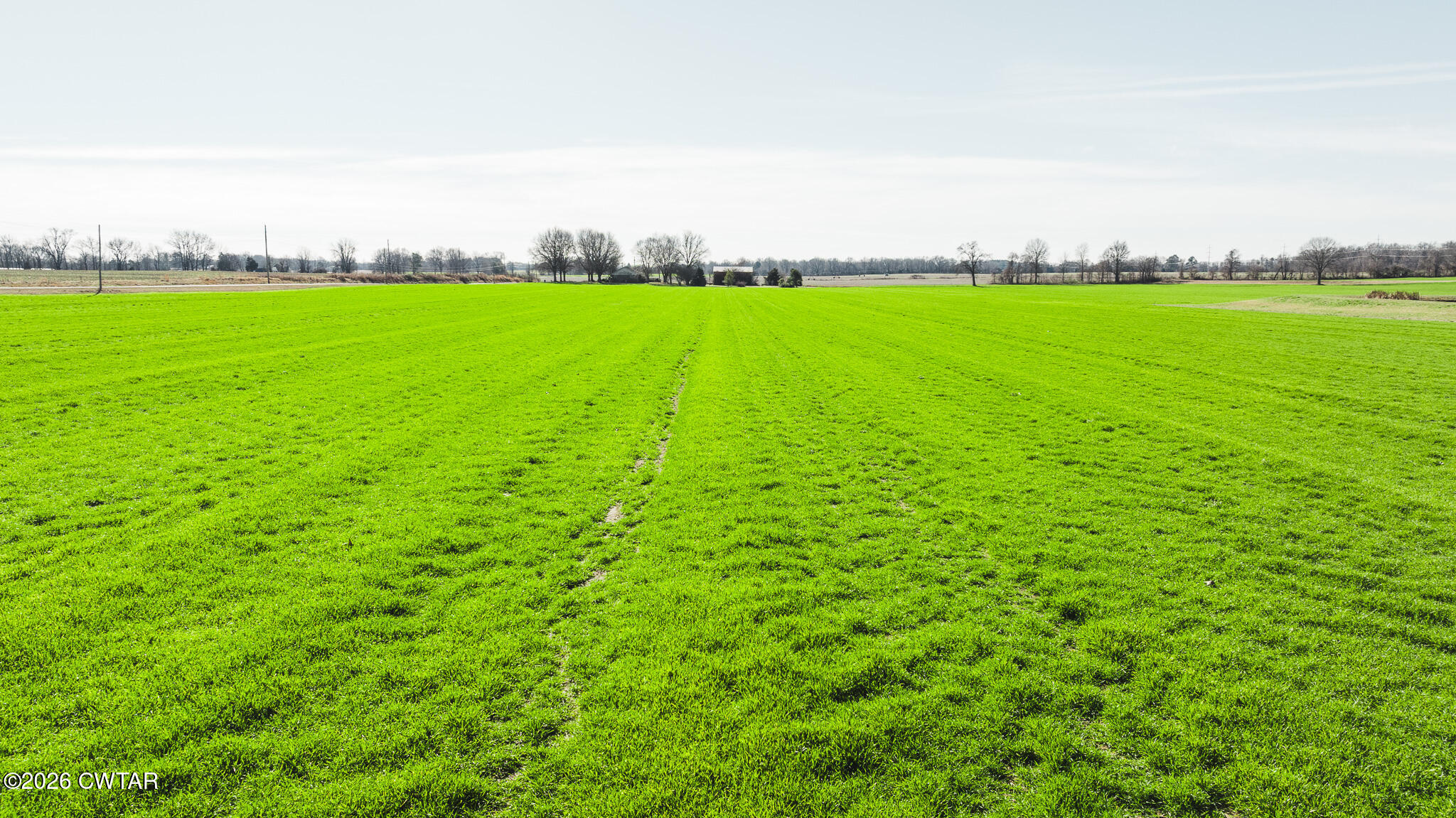 13-15 Bells Cypress Road Bells, TN 38006 - Photo 26 of 27 a view of a field with an ocean