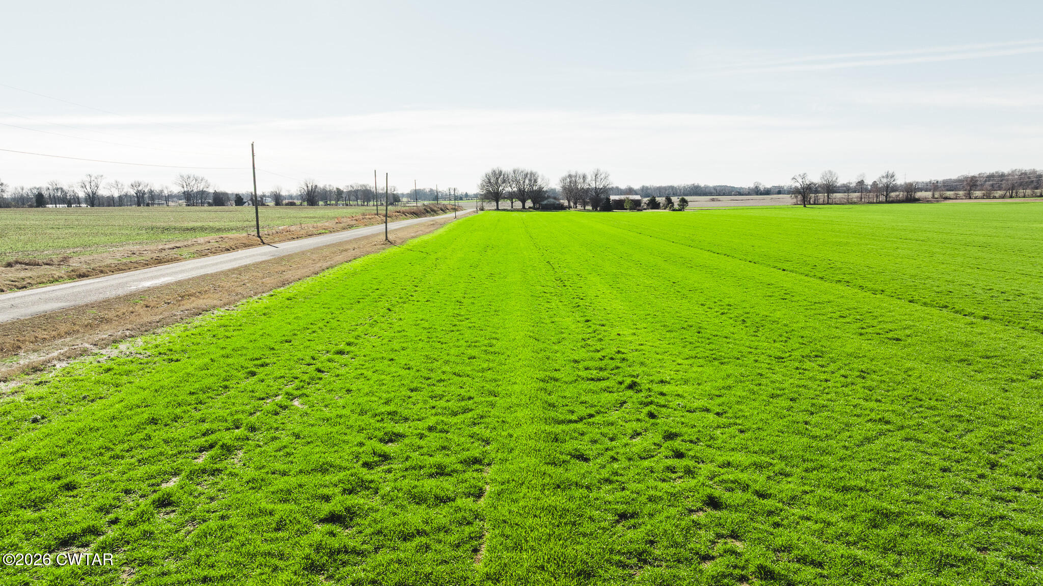 13-15 Bells Cypress Road Bells, TN 38006 - Photo 27 of 27 a view of a big yard with an empty space and ocean view