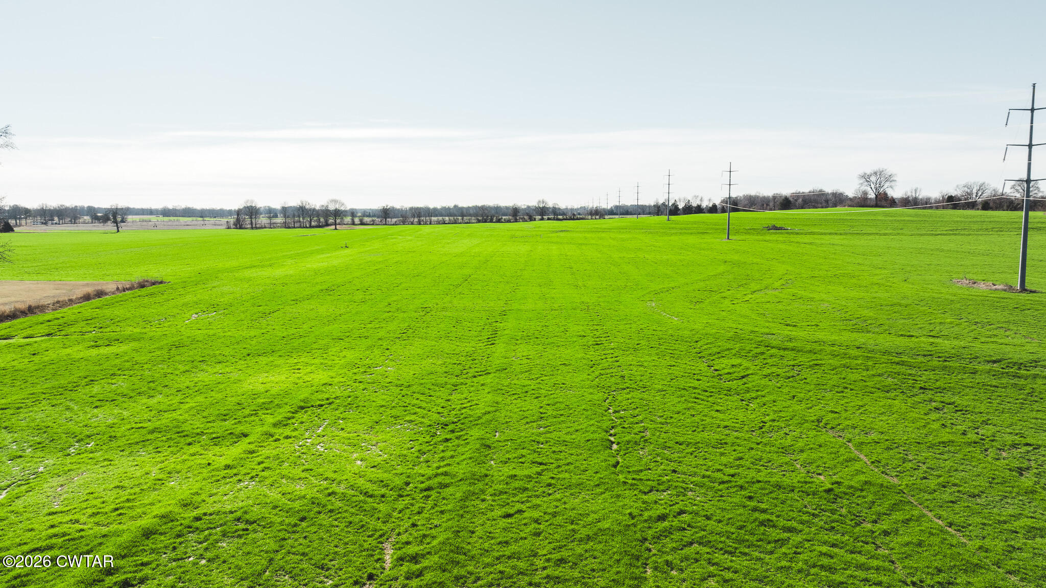 13-15 Bells Cypress Road Bells, TN 38006 - Photo 8 of 27 a view of a grassy field