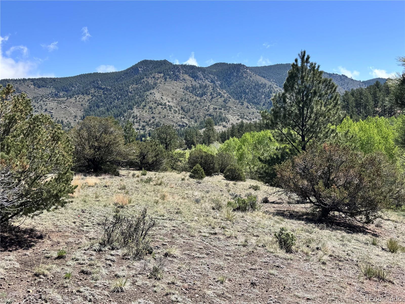Dilley Road Westcliffe, CO 81252 - Photo 5 of 16