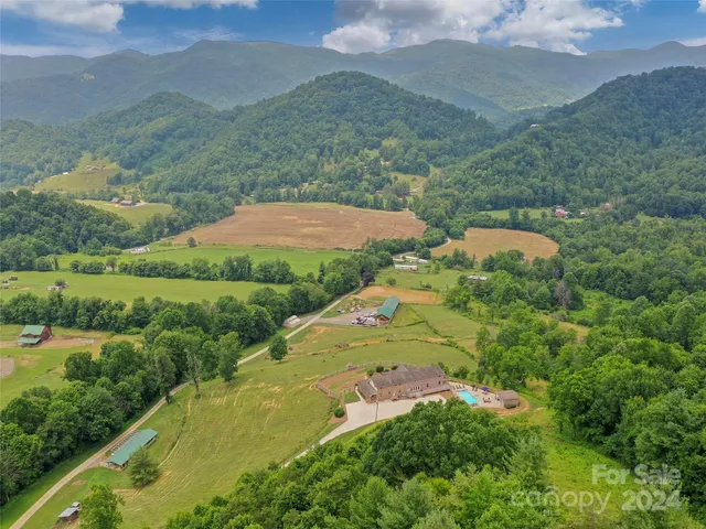 a view of a big yard with large trees