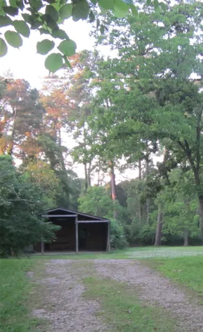 a view of a backyard with large trees