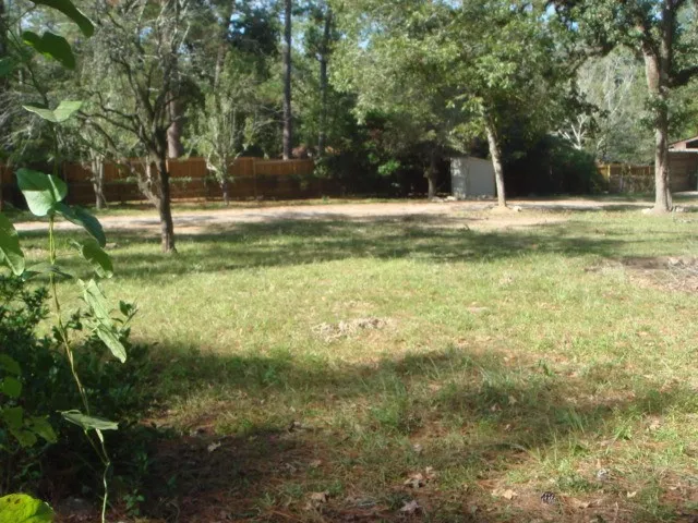 a view of a tree in a yard
