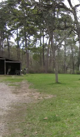 a view of a yard with a tree