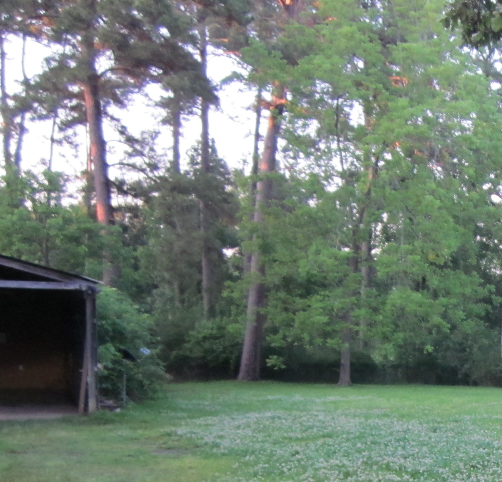 4018 East Mossy Oaks Road Spring, TX 77389 - Photo 9 of 23