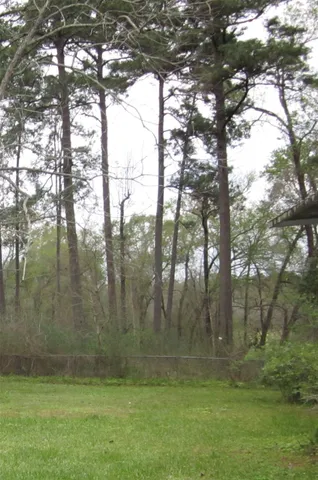 a view of outdoor area with green space