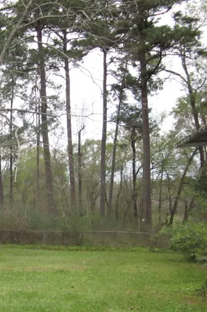 a backyard of a house with lots of green space and trampoline