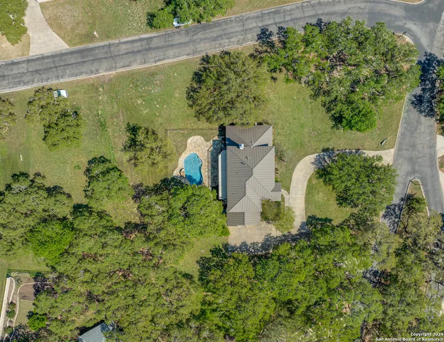 a close up of a plant in a garden