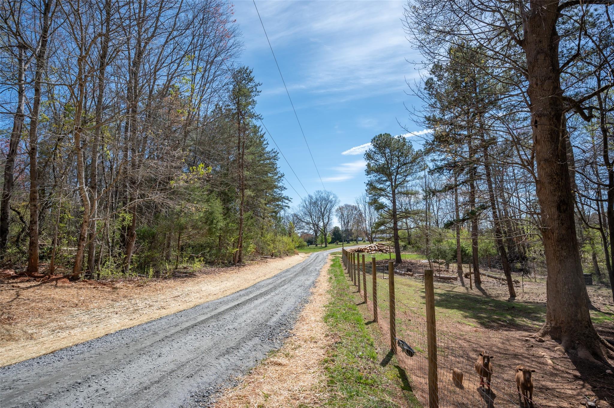 208 Key Road Ellenboro, NC 28040 - Photo 42 of 43 Gallery Image 42