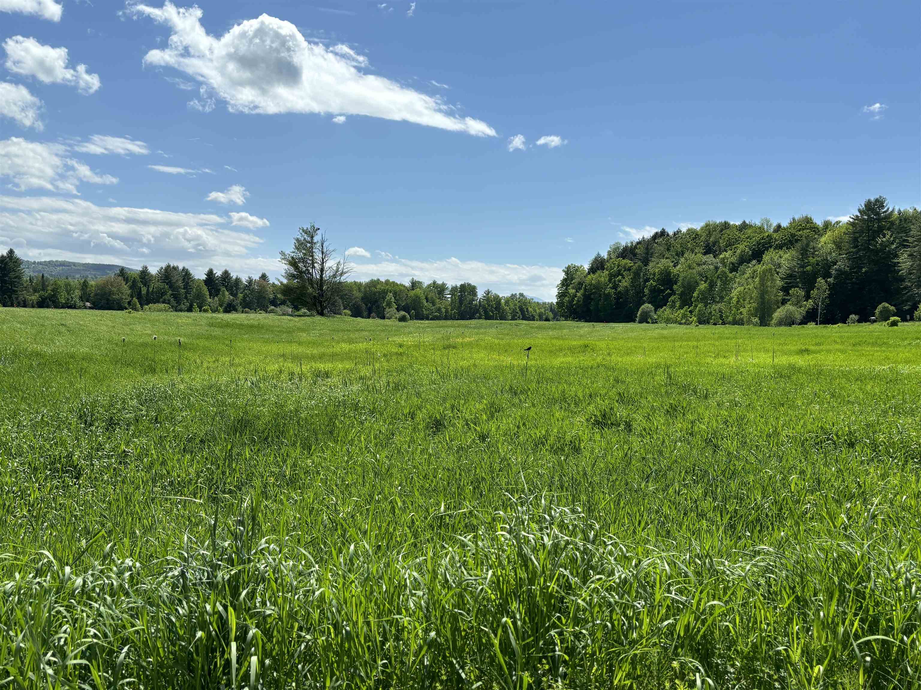 Lot #5 Lawrence Road, Unit 5 Morristown, VT 05661 - Photo 4 of 10