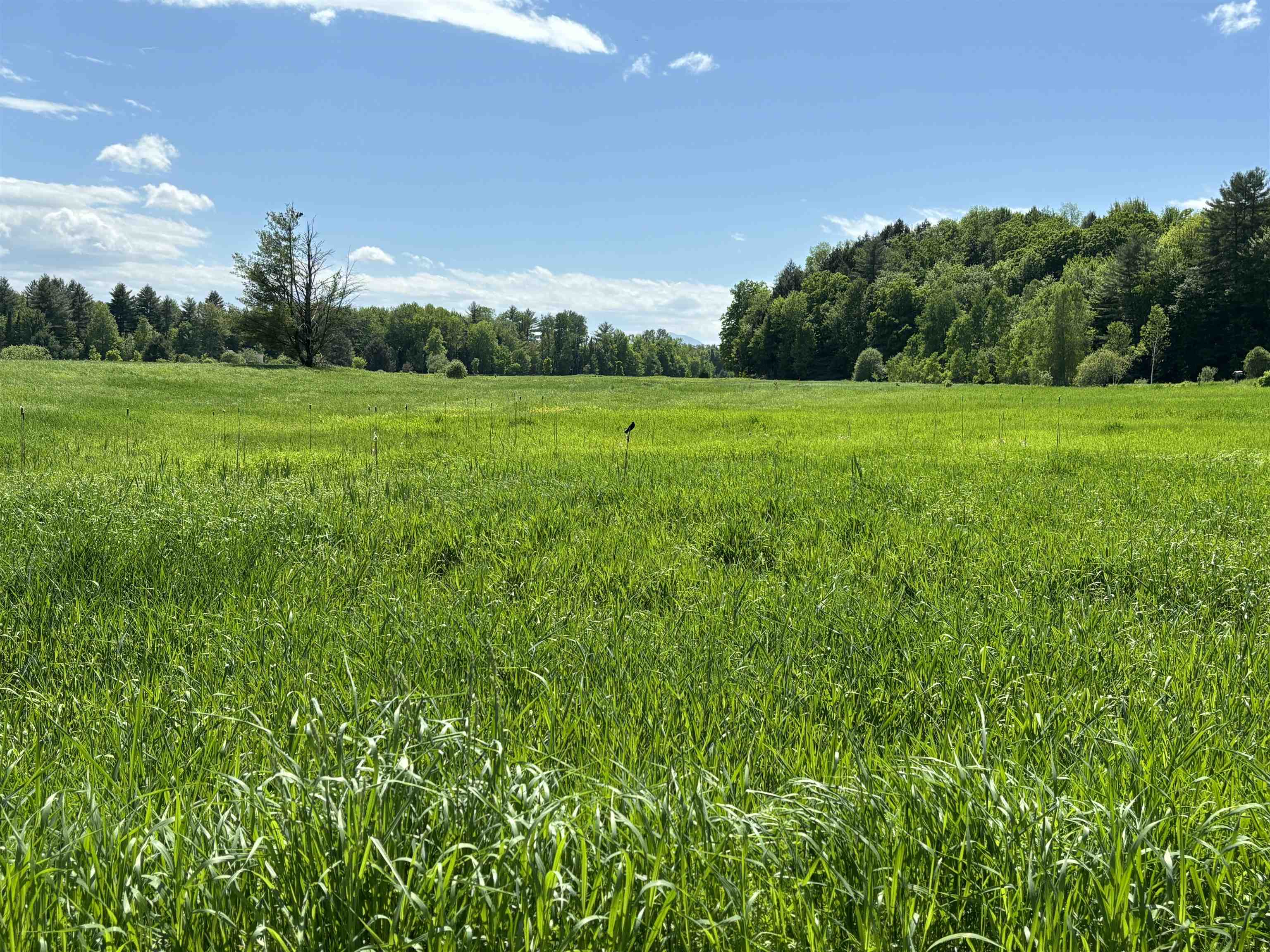 Lot #5 Lawrence Road, Unit 5 Morristown, VT 05661 - Photo 5 of 10