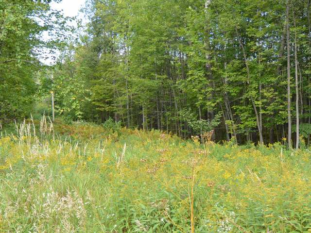 Lot 27 Trails End Road Land O'Lakes, WI 54540 - Photo 7 of 13 Gallery Image 7
