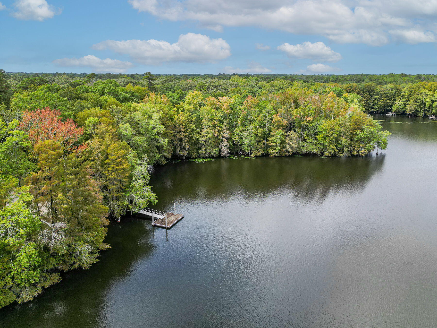138 Twisted Oak Trail Elloree, SC 29047 - Photo 106 of 112 139-web-or-mls-CM-139