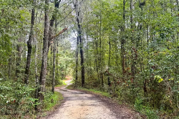 $538,888 | 138 Twisted Oak Trail, Elloree, SC 29047