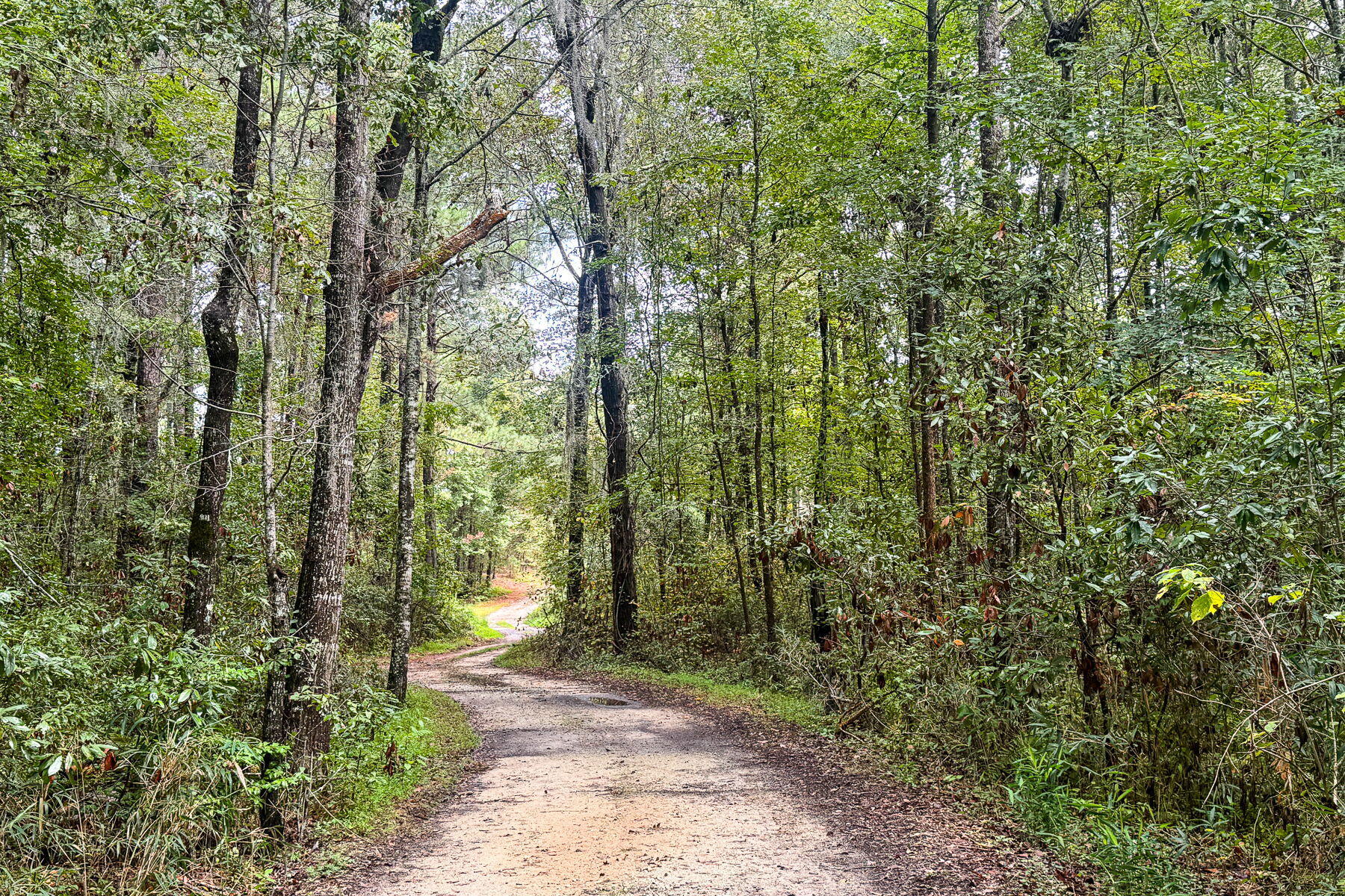 138 Twisted Oak Trail Elloree, SC 29047 - Photo 86 of 112 118-web-or-mls-CM-118