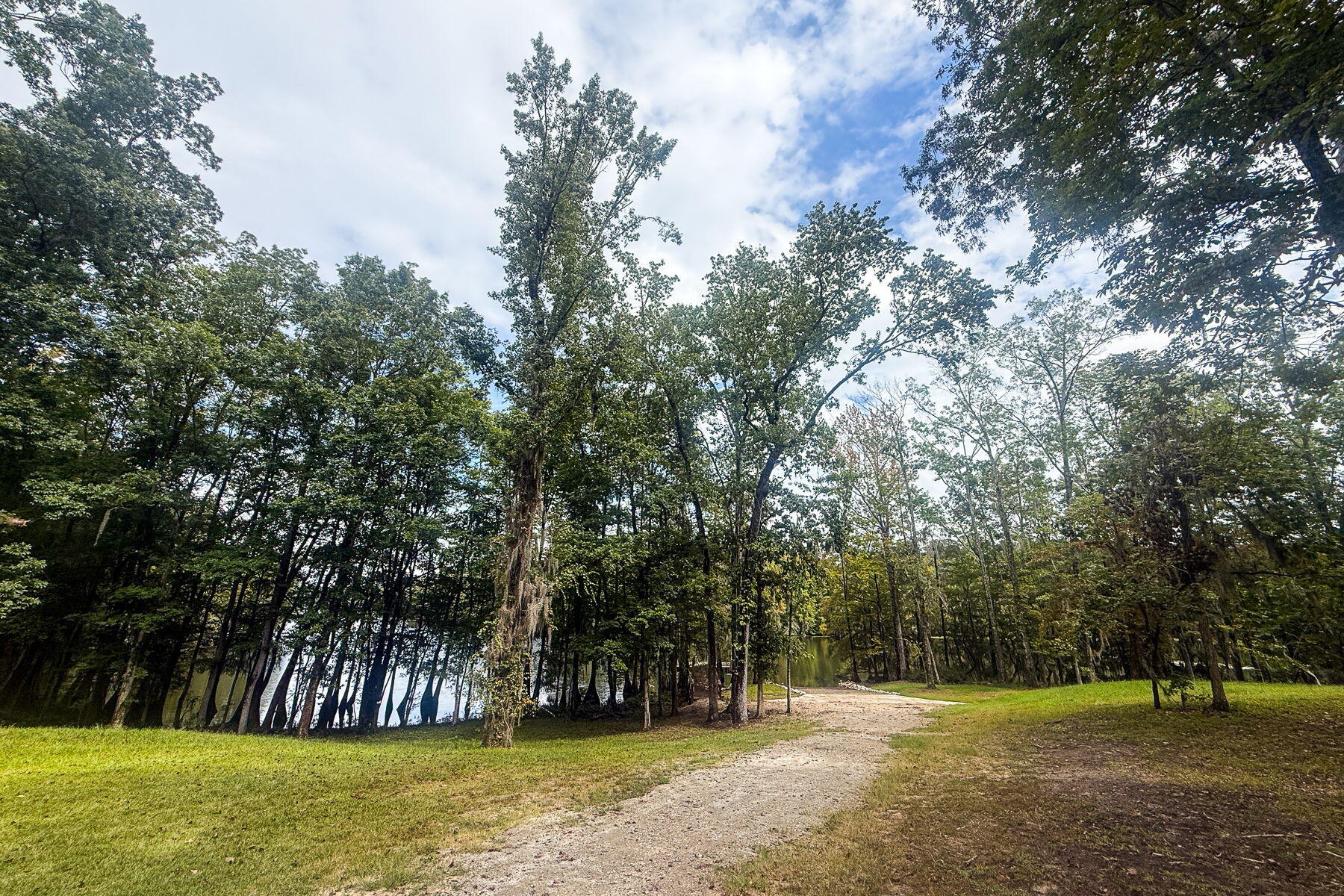 138 Twisted Oak Trail Elloree, SC 29047 - Photo 87 of 112 119-web-or-mls-CM-119