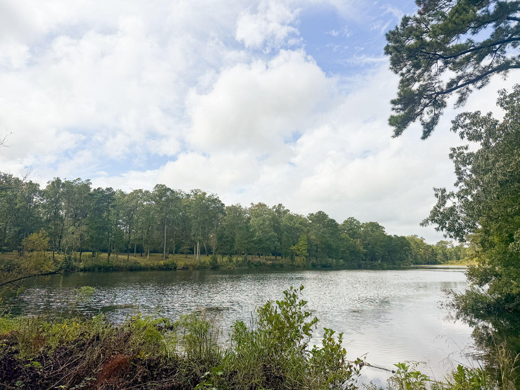 138 Twisted Oak Trail Elloree, SC 29047 - Photo 93 of 112 123-web-or-mls-CM-123