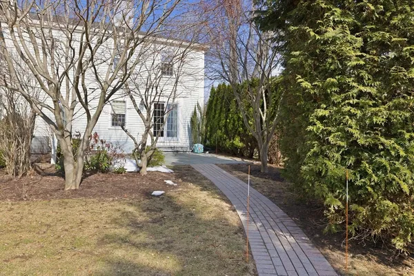 a view of a yard with plants and trees