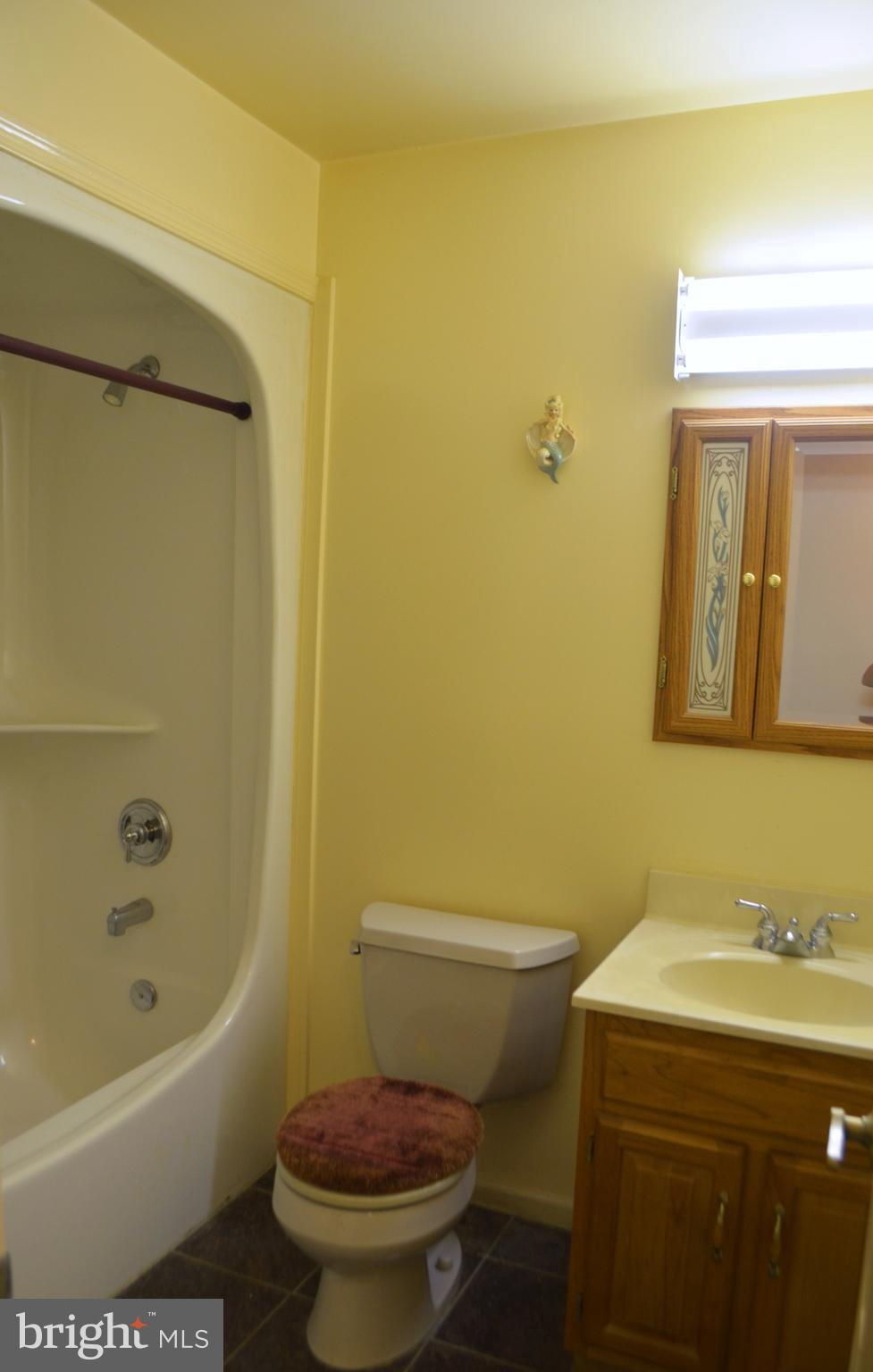 764 Summit Point Road Summit Point, WV 25446 - Photo 11 of 23 Main bath