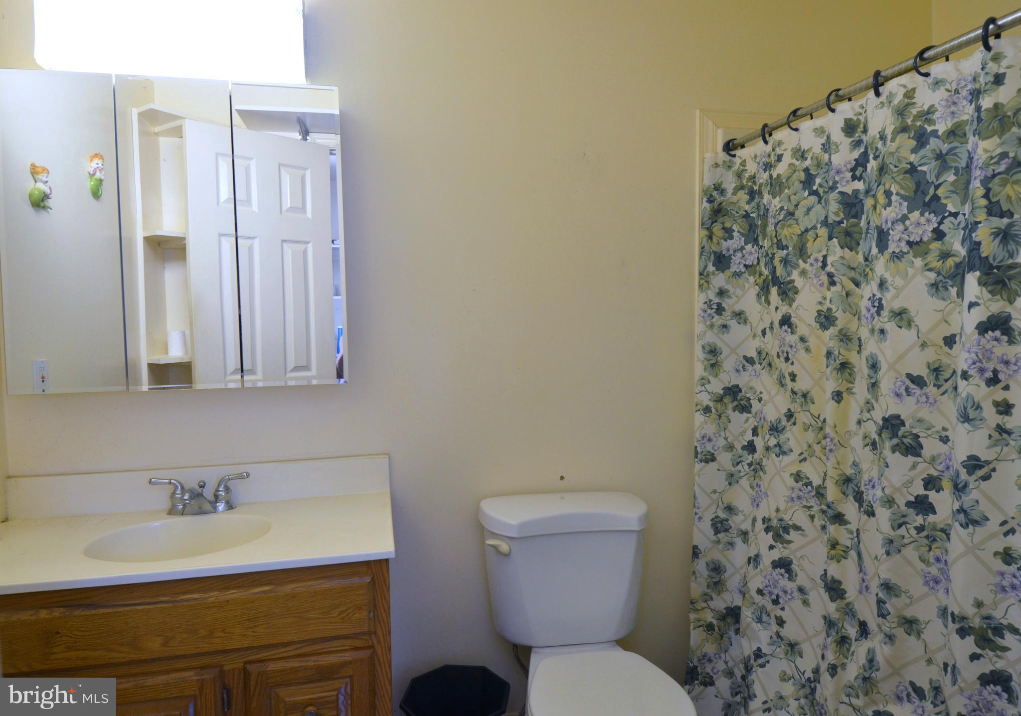 764 Summit Point Road Summit Point, WV 25446 - Photo 18 of 23 Bath #3.