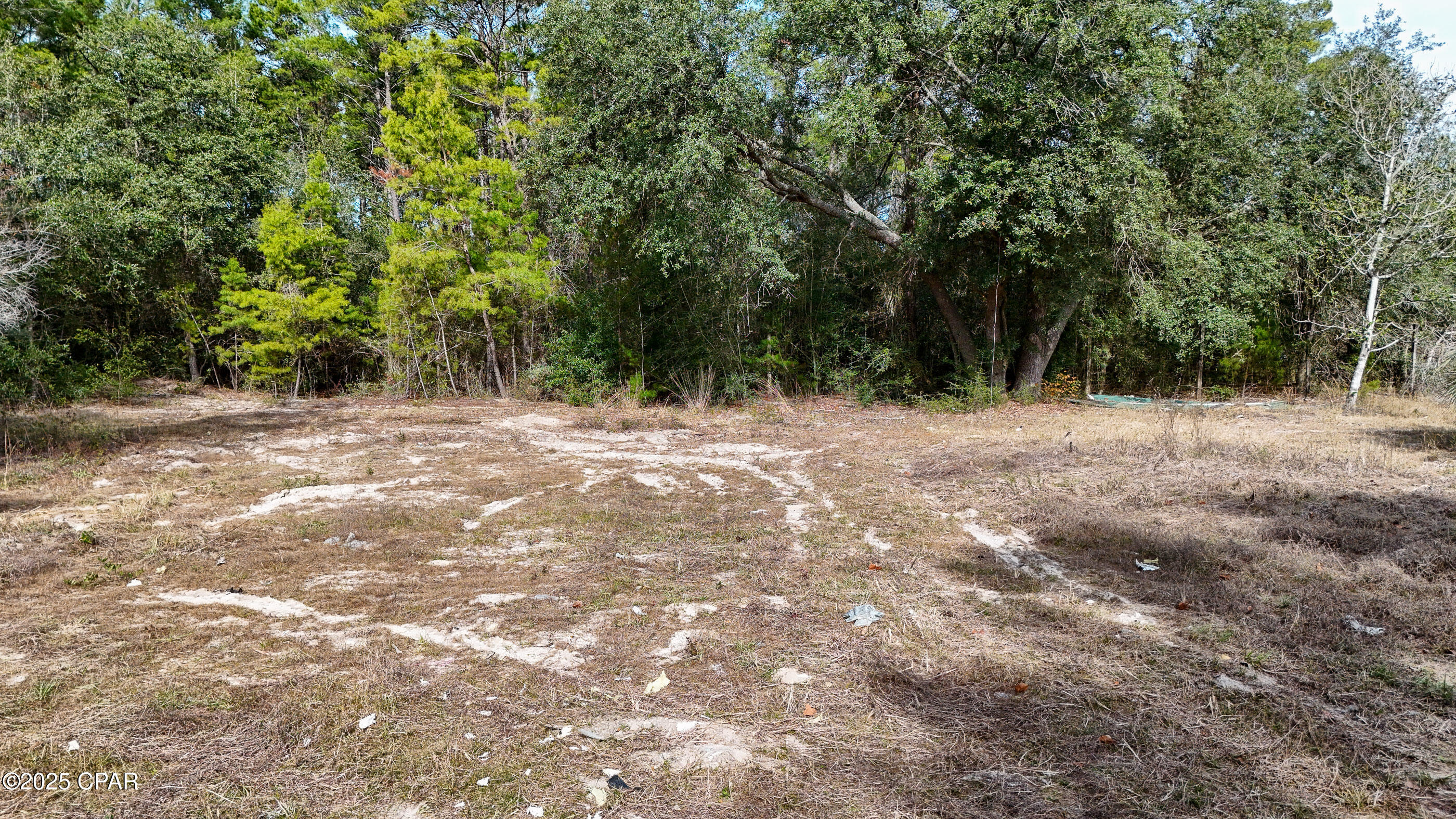 14209 Big Island Pond Road Southport, FL 32409 - Photo 11 of 32